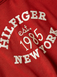 An image of the Tommy Hilfiger Varsity Logo Embroidery Hoodie