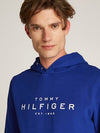 An image of the Tommy Hilfiger Tommy Hilfiger Hoody