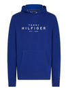 An image of the Tommy Hilfiger Tommy Hilfiger Hoody
