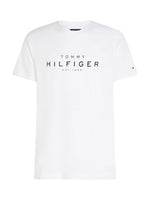 An image of the Tommy Hilfiger Big Hilfiger Tee