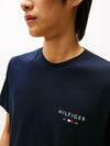 An image of the Tommy Hilfiger Brand Love Small Hilfiger Tee