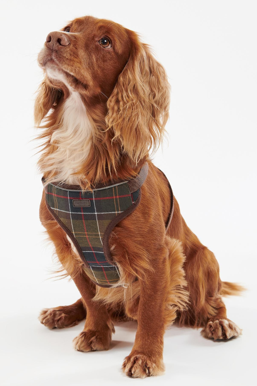 An image of the Barbour Travel And Exercise Harness