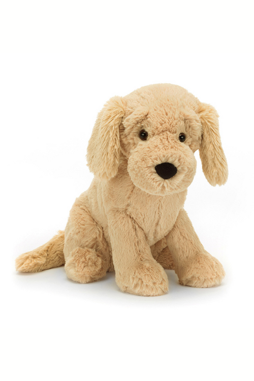 Jellycat Tilly Golden Retriever. A soft toy dog with golden fur, floppy ears and beanie paws.