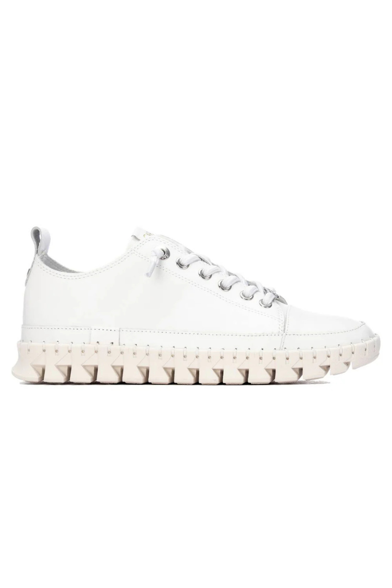 Leather Trainer