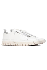 Leather Trainer