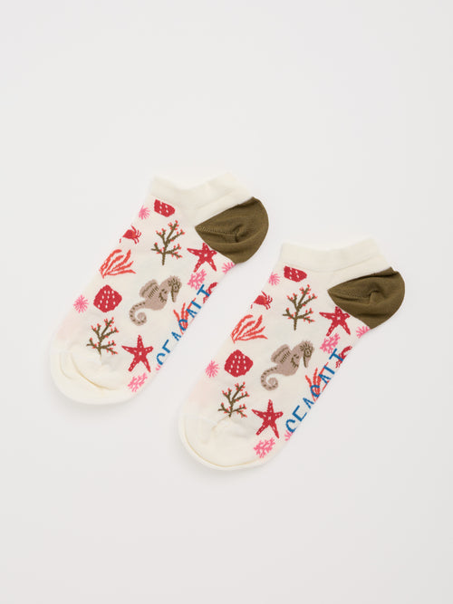 An image of the Seasalt Women's Bamboo Arty Trainer Socks Starfish Sea Chalk