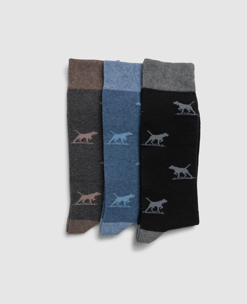An image of the Rodd & Gunn Dogs-A-Plenty Three Pack Socks