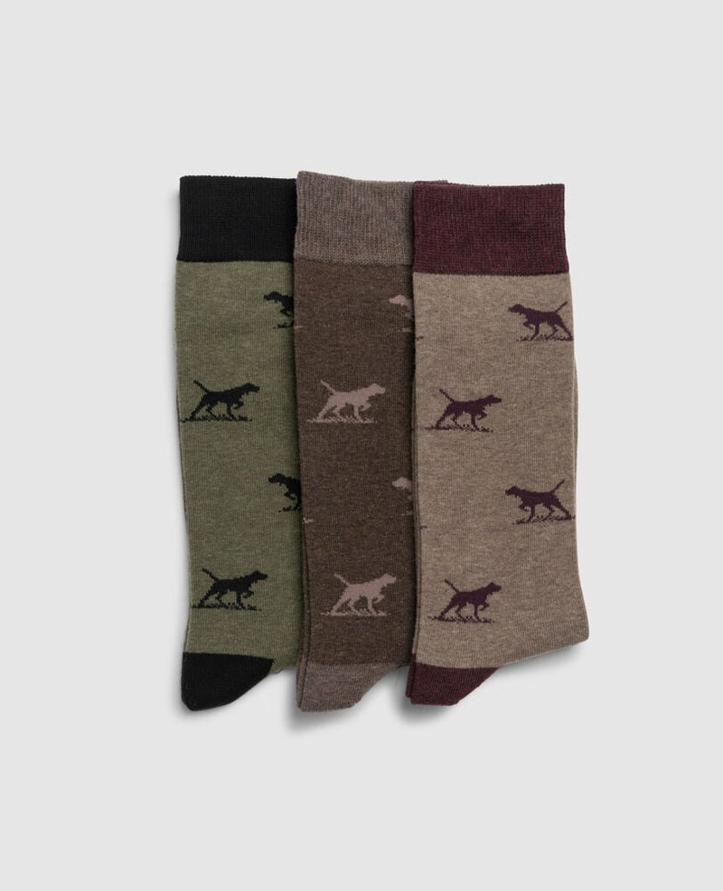 An image of the Rodd & Gunn Dogs-A-Plenty Three Pack Socks