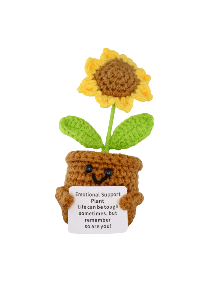 An image of the The Gnome Garden Positive Plant