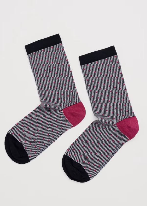An image of the Seasalt Everyday Socks