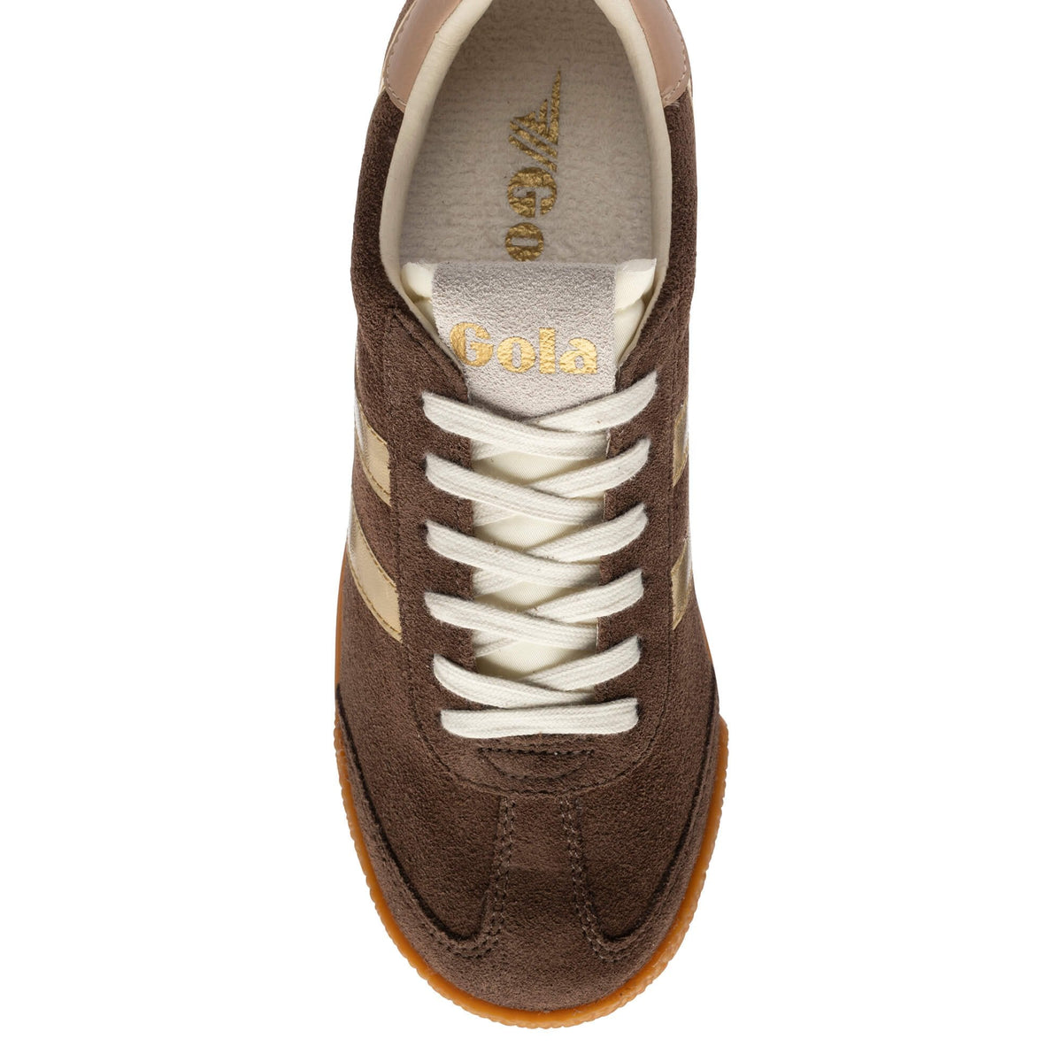 Elan Glitz Trainer