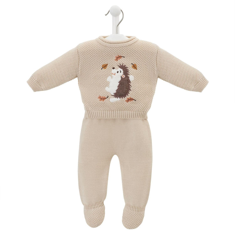 An image of the Dandelion Clothing Hedgehog Two-Piece Set