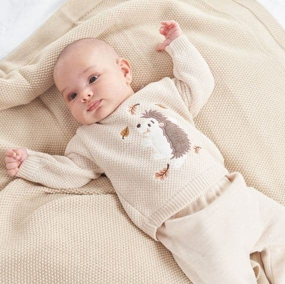 An image of the Dandelion Clothing Hedgehog Two-Piece Set