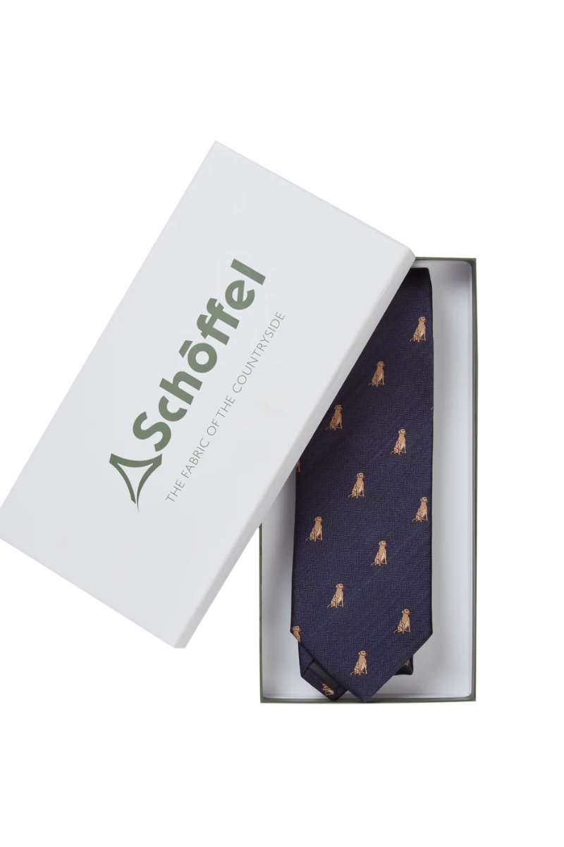 Ashford Silk Tie (Boxed)