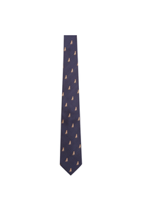 Ashford Silk Tie (Boxed)
