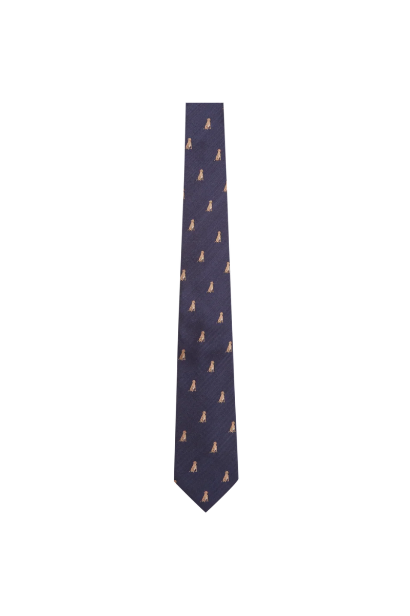 Ashford Silk Tie (Boxed)