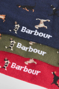 Dog Sock Gift Set