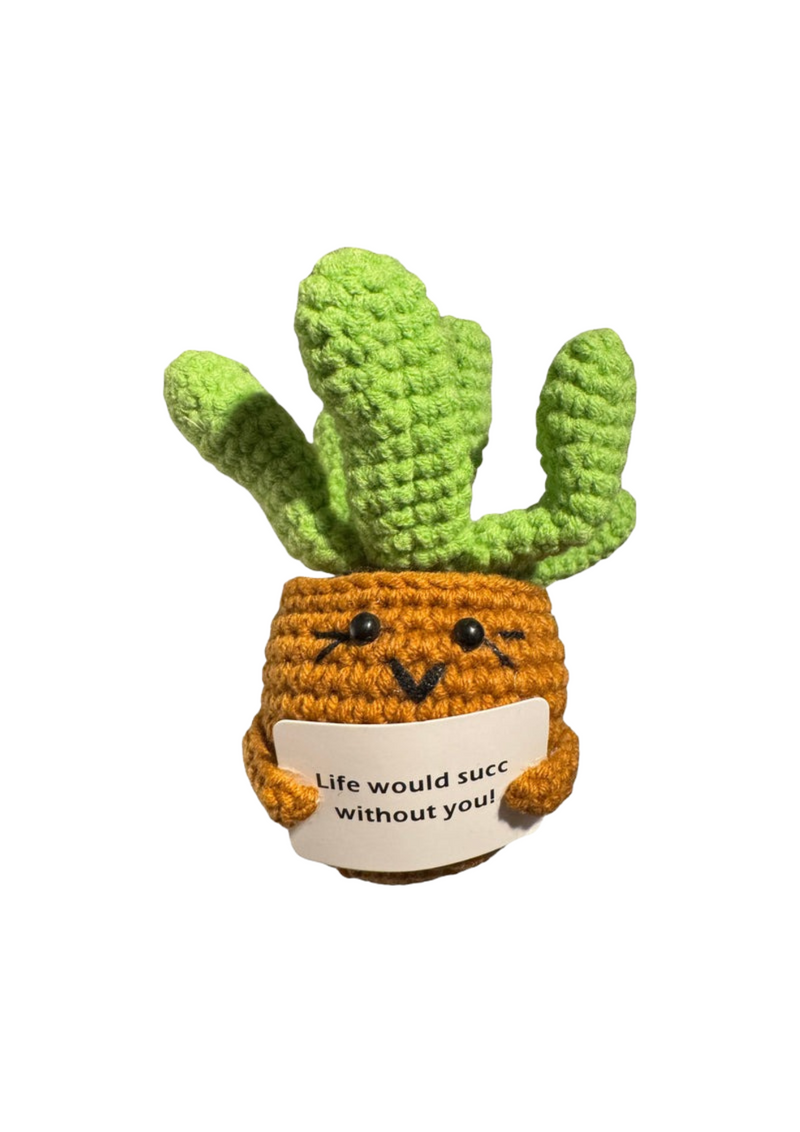 An image of the The Gnome Garden Positive Succulent