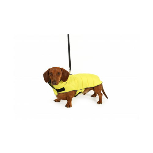 An image of the Doodlebone Puffer Jacket
