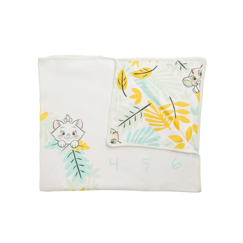 Winnie the sales pooh milestone blanket