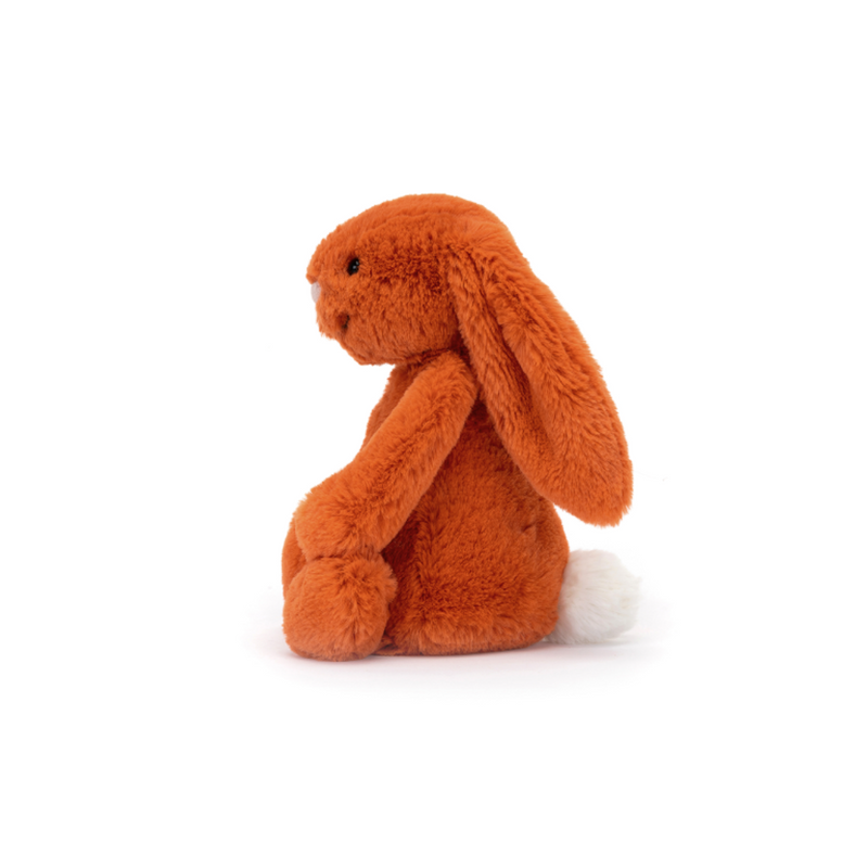 Bashful Bunny