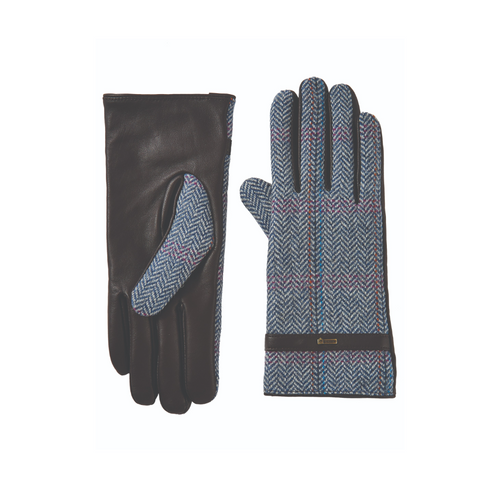 An image of the Dubarry Leather Gloves