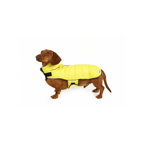 An image of the Doodlebone Puffer Jacket