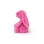 Bashful Bunny