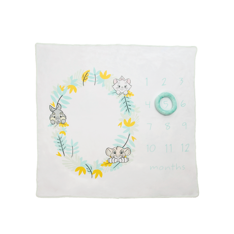 An image of the Enesco Disney Milestone Blanket