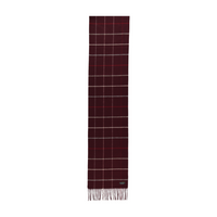 An image of the FRAAS Cashmink Scarf