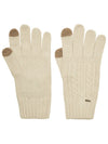 An image of the Dubarry Wool Gloves