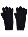 An image of the Dubarry Wool Gloves