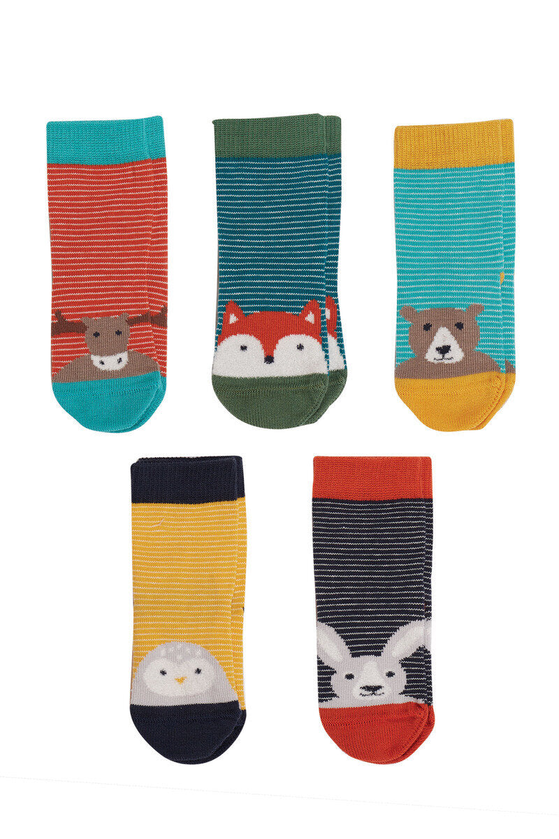 5 Pack of Socks