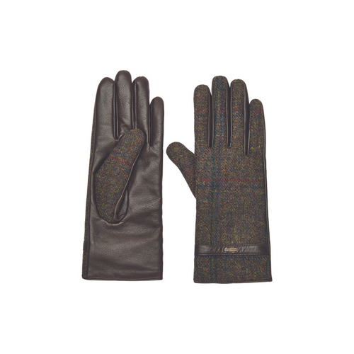 An image of the Dubarry Leather Gloves