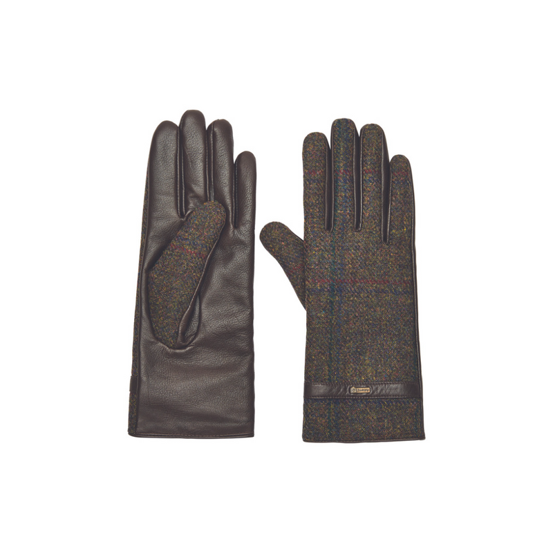An image of the Dubarry Leather Gloves